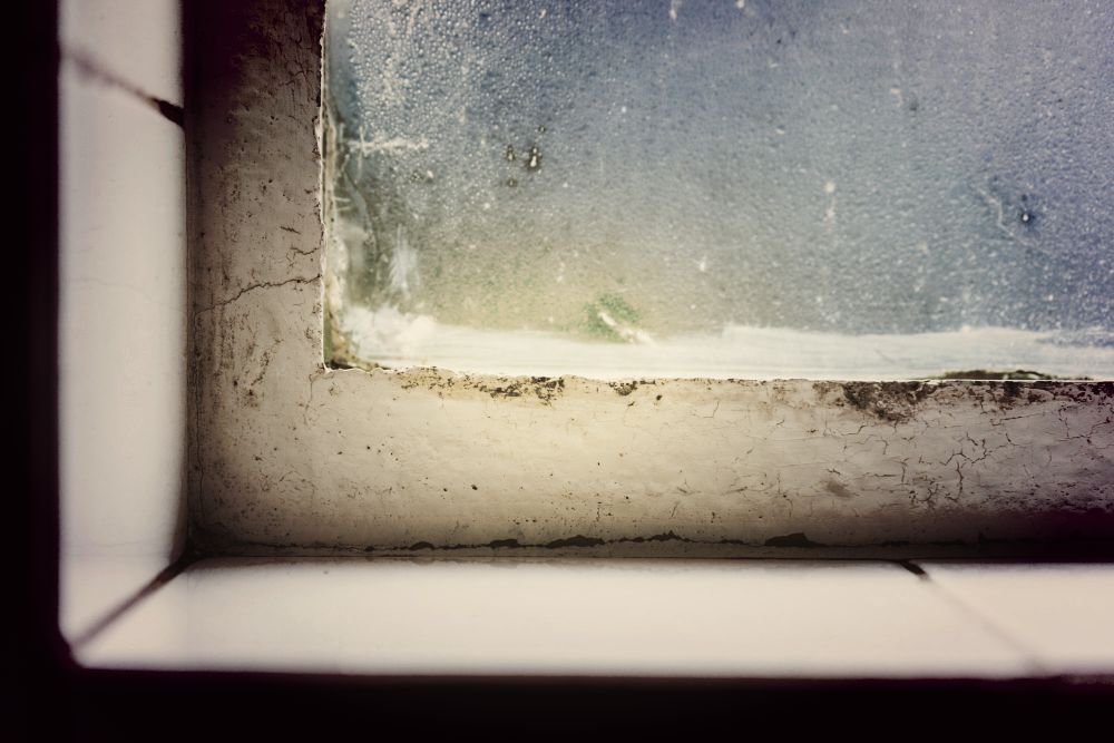 La imagen muestra una ventana con acumulación de humedad y moho en el marco inferior, evidenciando filtración y falta de ventilación. El cristal presenta condensación, mientras los bordes deteriorados reflejan desgaste por exposición constante al agua.