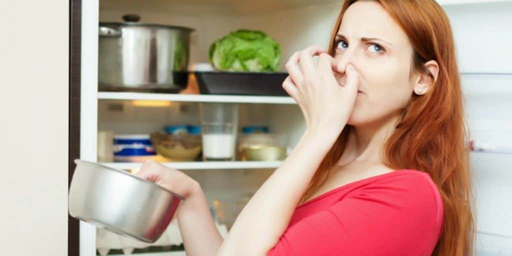 Se observa a una persona frente al refrigerador cubriéndose la nariz, mientras sostiene un recipiente. La escena transmite incomodidad por malos olores, resaltando la importancia de la limpieza y el orden en la cocina.