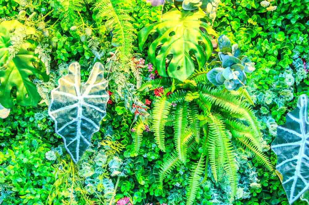 Se observa una diversidad de hojas, helechos y plantas tropicales que crean un jardín lleno de color, volumen y vida. Esta composición es ideal para quienes buscan un ambiente fresco, relajante y con una fuerte conexión con la naturaleza.
