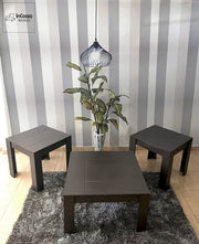 InCassa Muebles Edomex mueblería CDMX Mesas de Centro Modelo CRETA 1