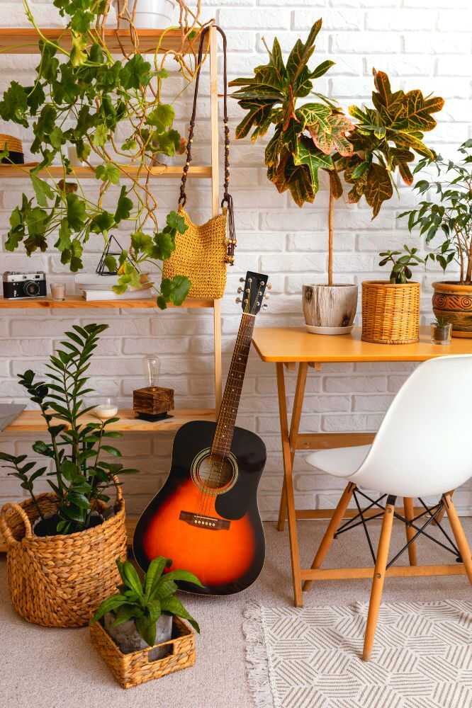 Una habitación decorada por plantas de diferentes tamaños