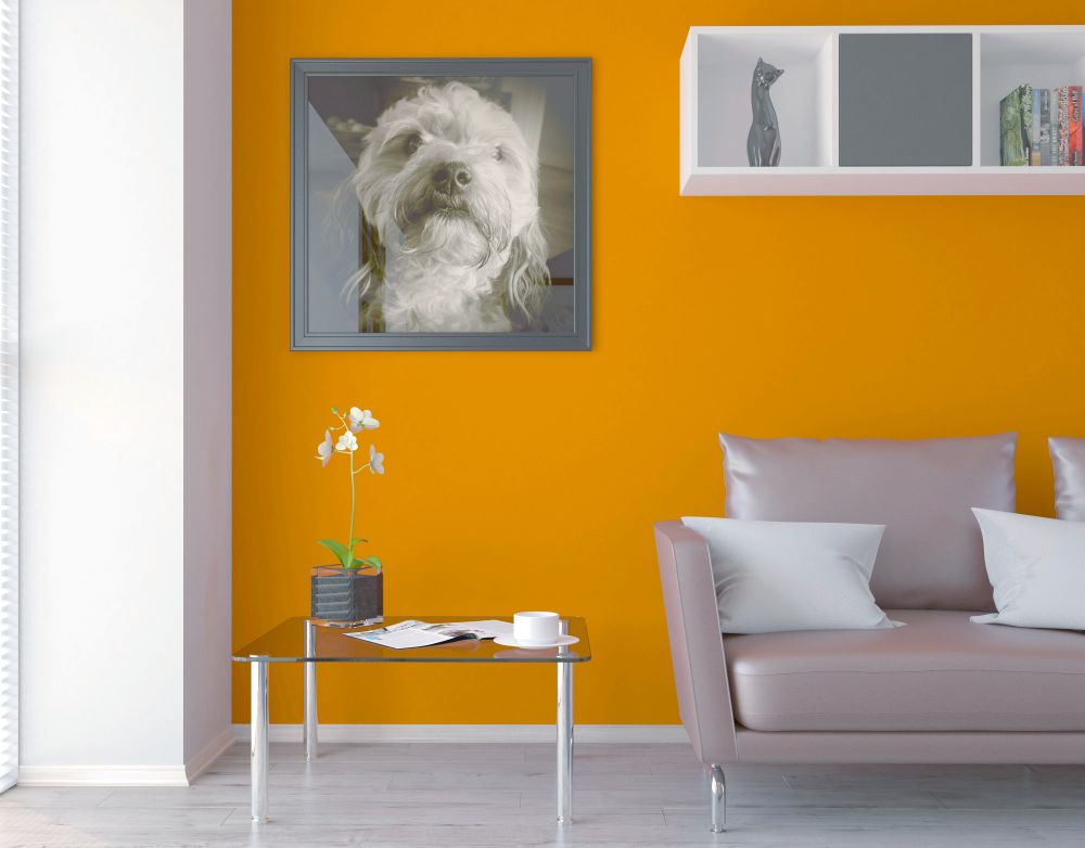 Una estancia de diseño moderno y minimalista en el que resalta una bonita foto enmarcada de la mascota familiar.
